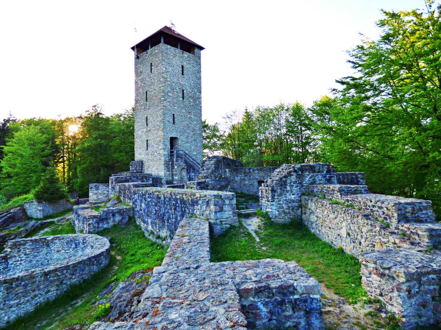 Burg Altnussberg