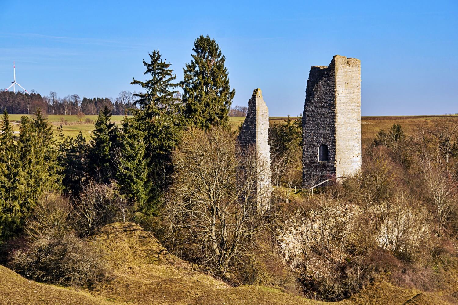Burg Bechthal
