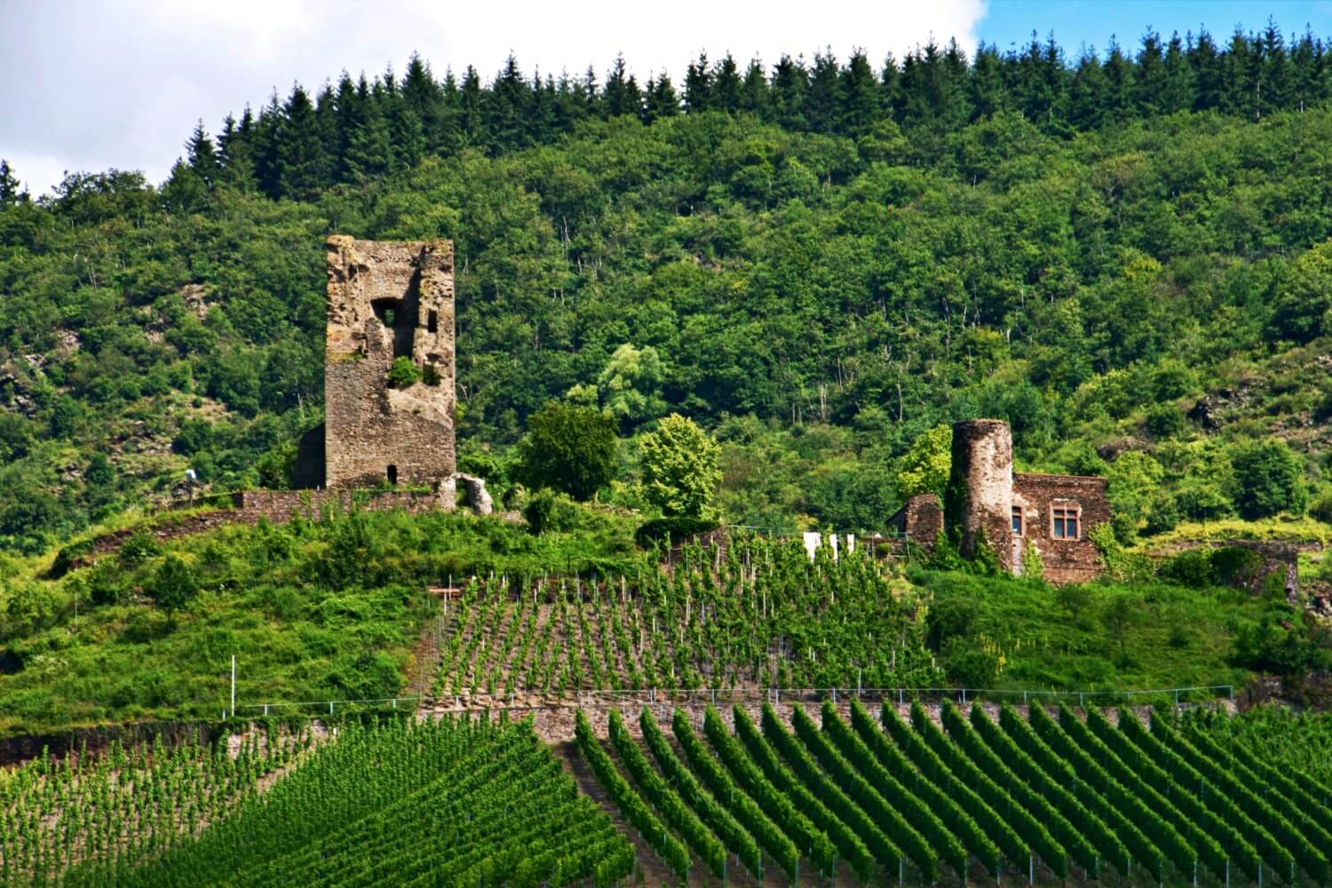 Burg Coraidelstein