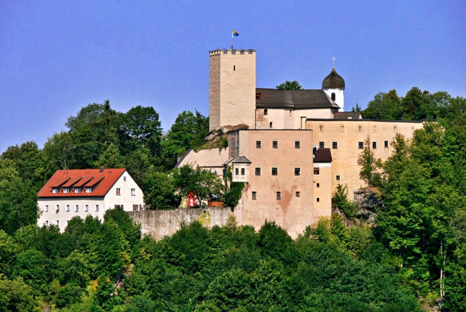Burg Falkenstein (Oberpfalz)