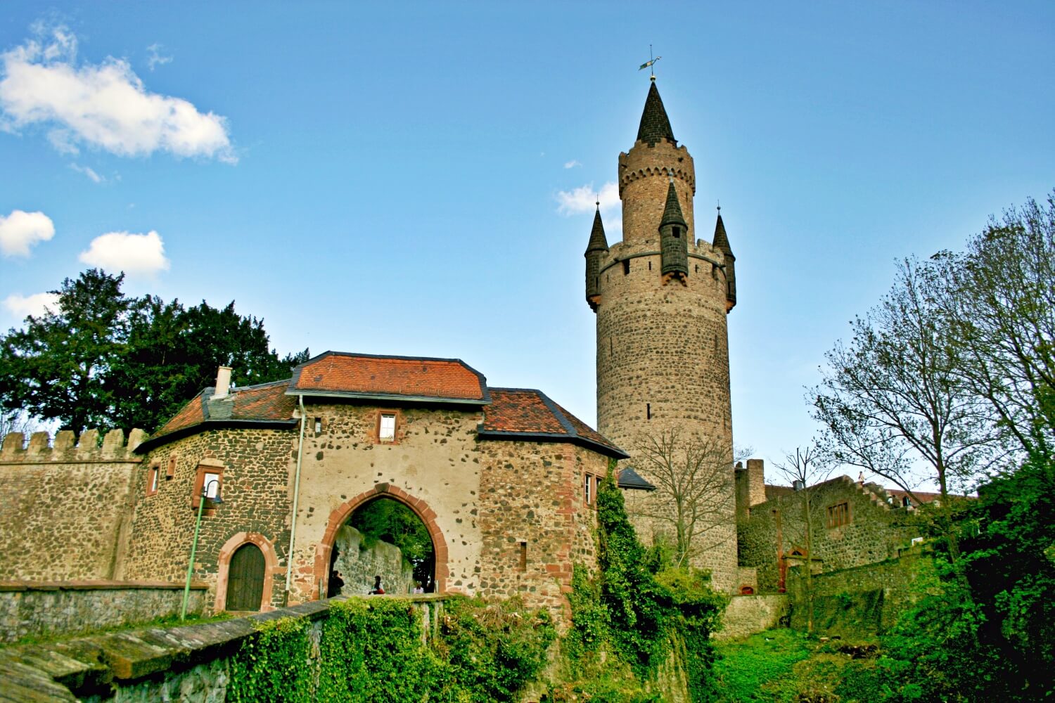 Burg Friedberg (Friedberg)