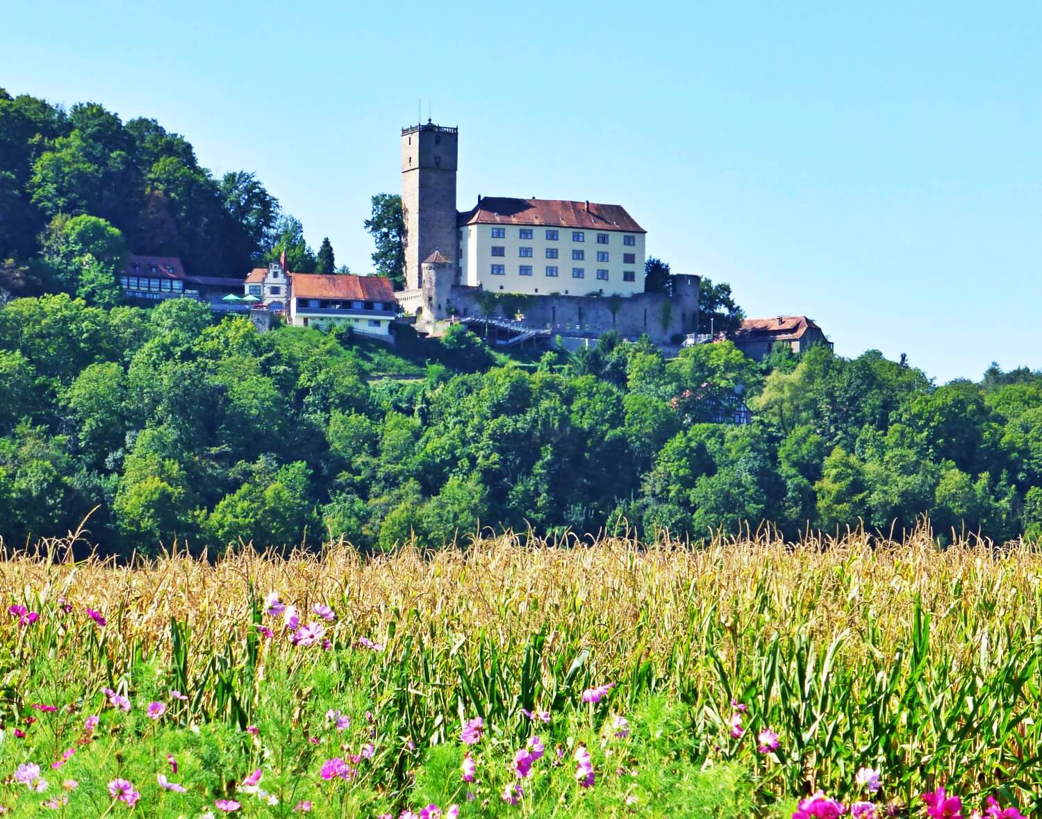 Burg Guttenberg