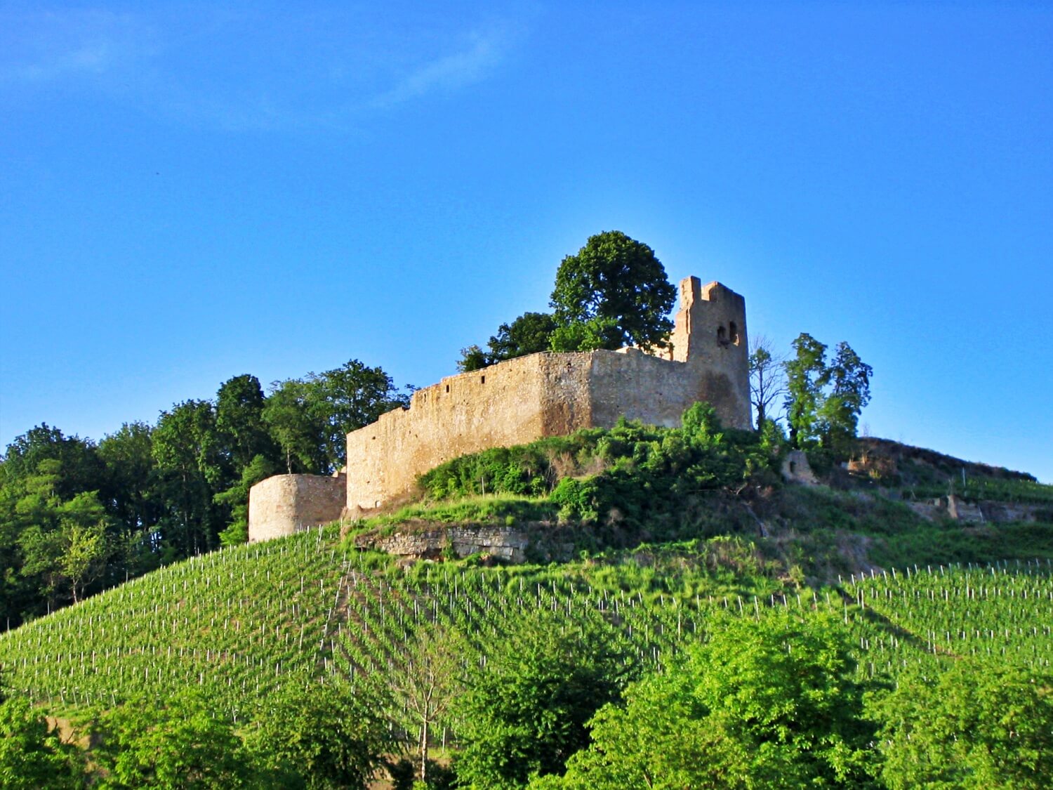 Burg Lichteneck