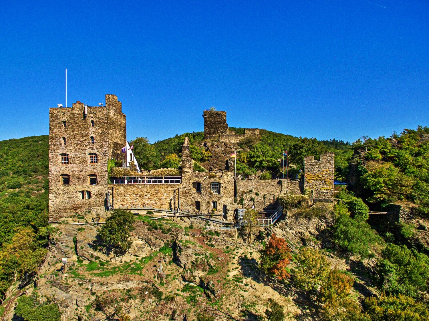 Burg Liebenstein (Rheintal)