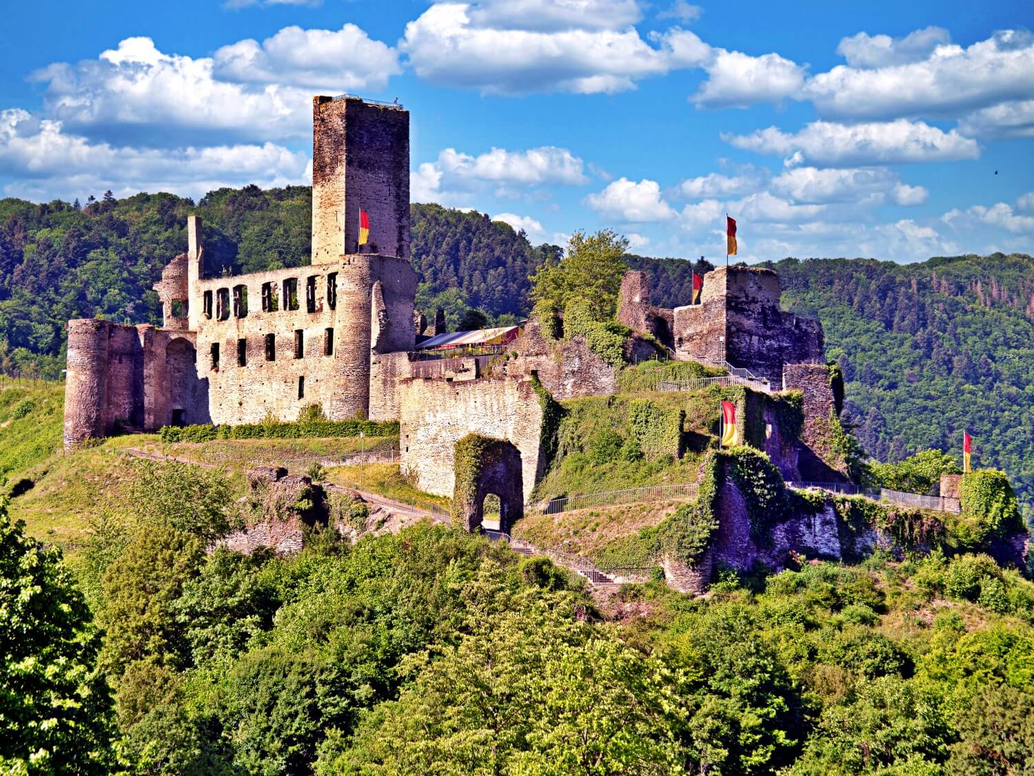 Metternich Castle