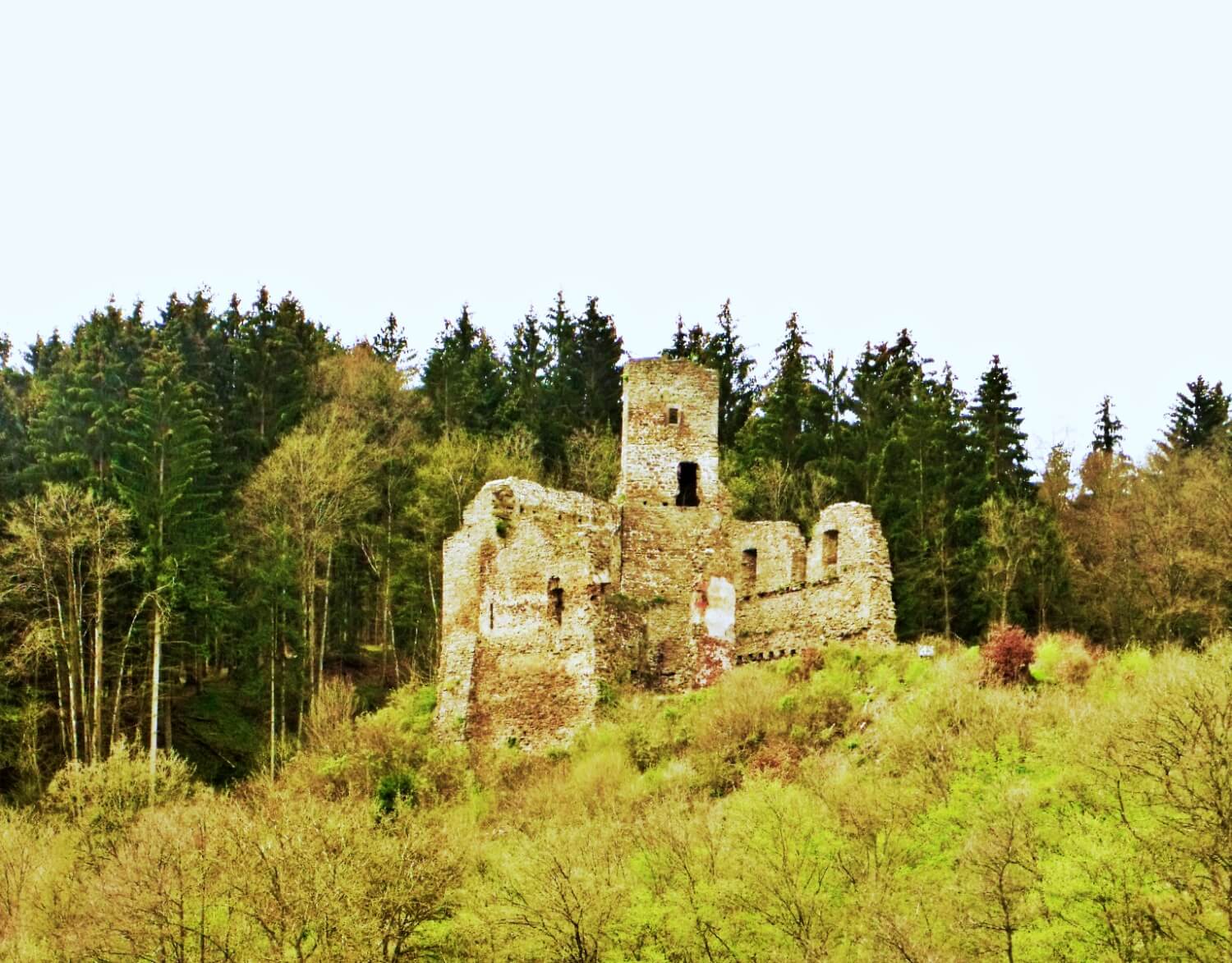 Burg Neublankenheim