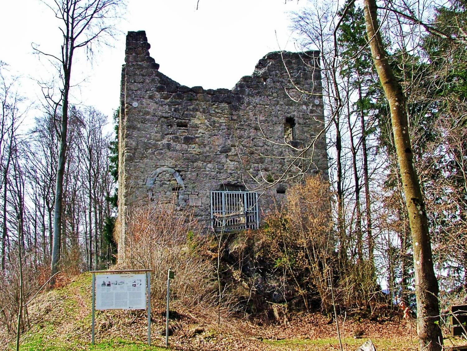 Burg Langenegg