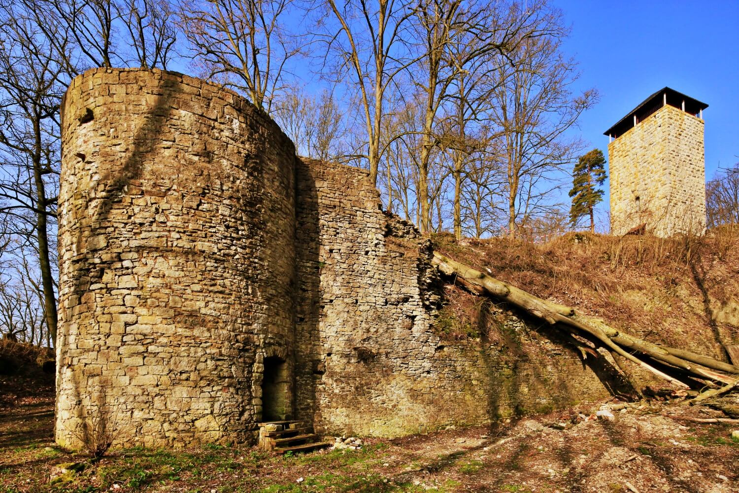 Burgruine Osterburg (Henfstädt)