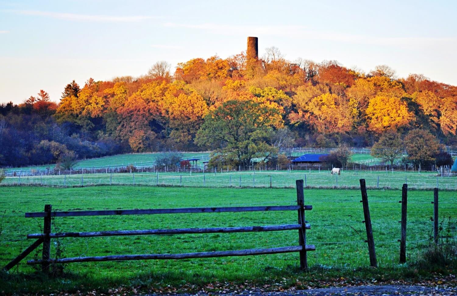 Burg Tomburg