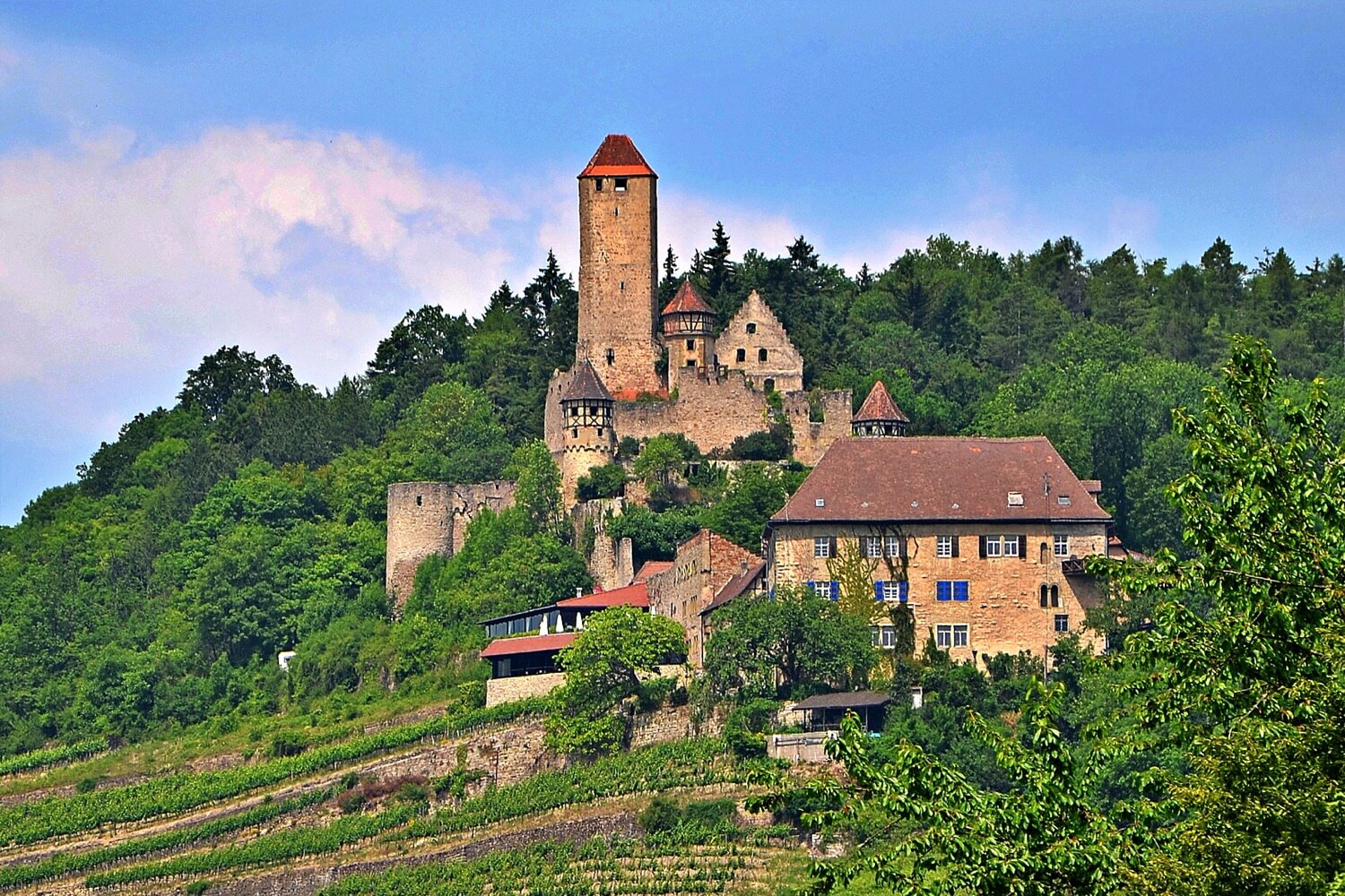 Dilsberg Castle