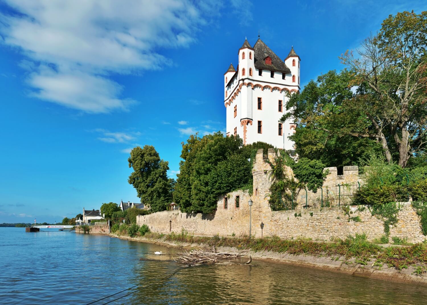 Kurfürstliche Burg Eltville