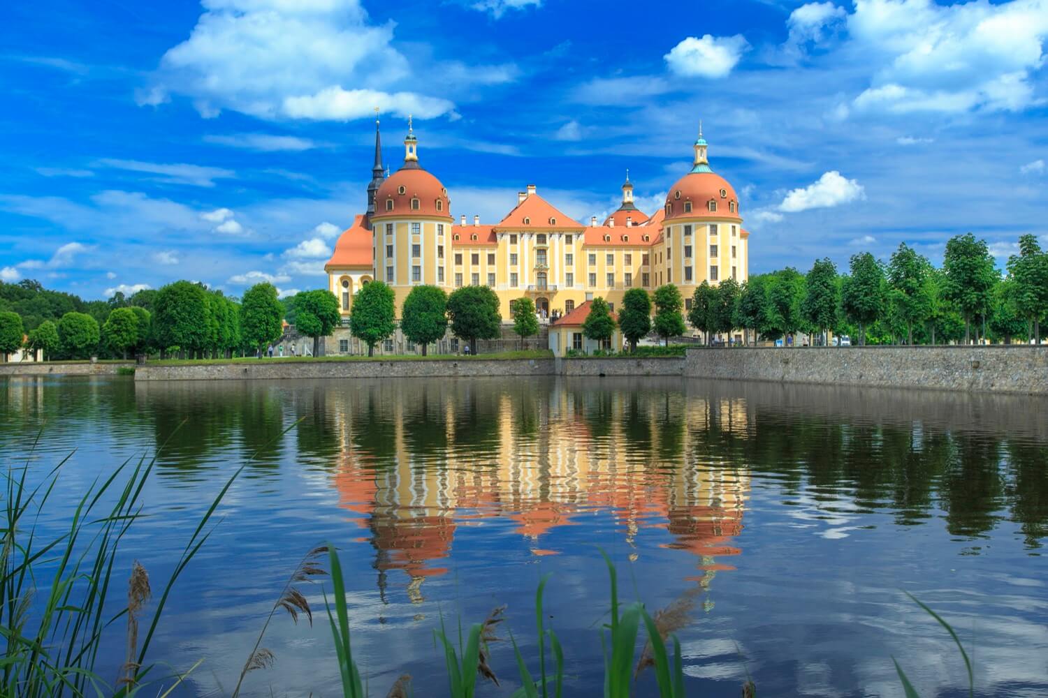 Moritzburg Castle