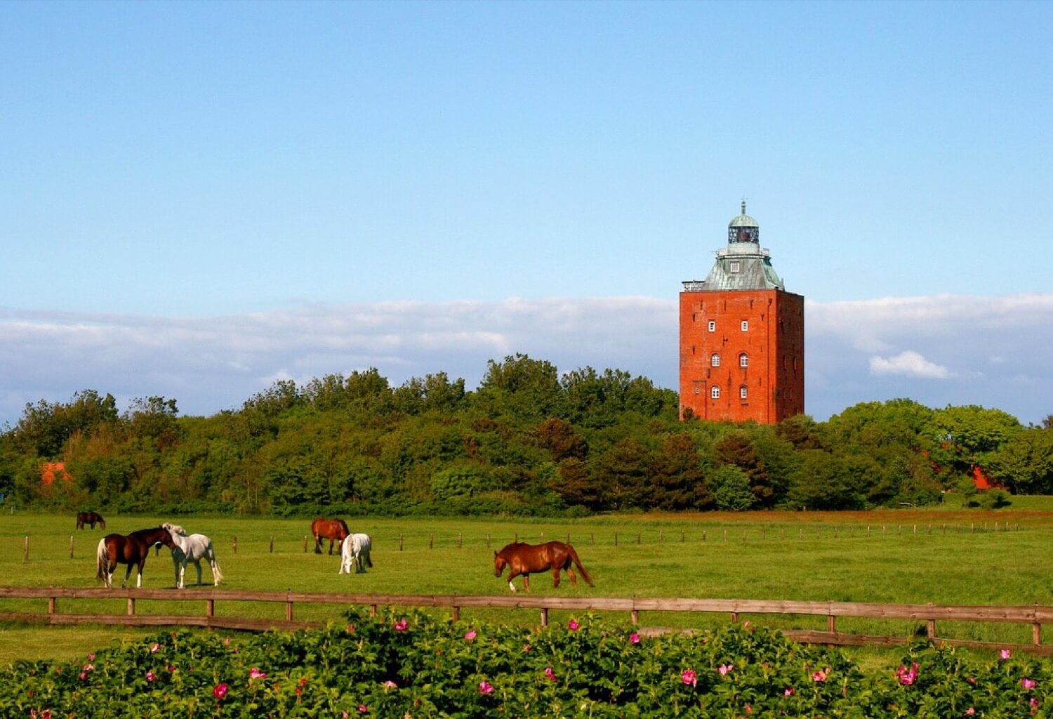 Great Tower Neuwerk