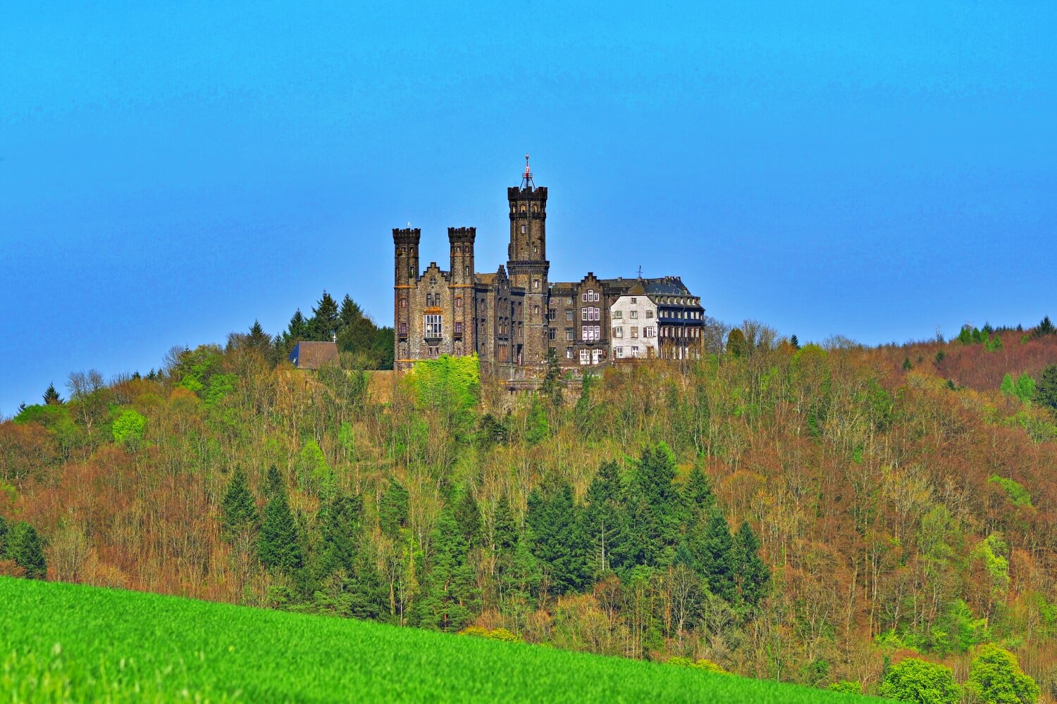 Schaumburg Castle (Rhineland-Palatinate)