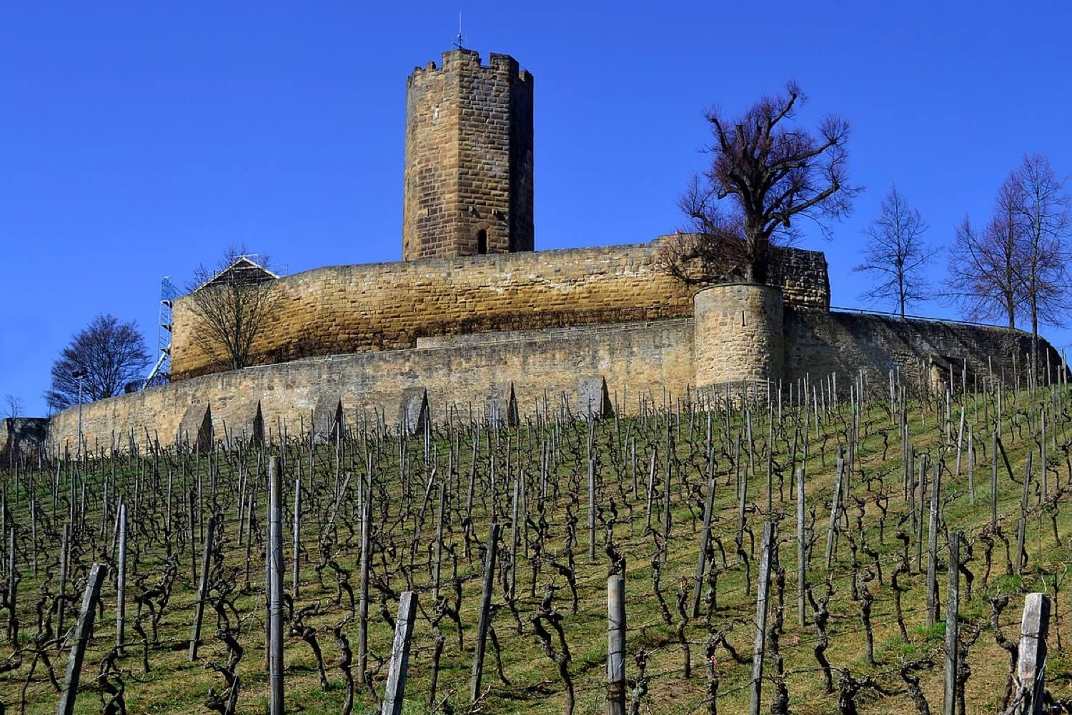 Steinsberg Castle