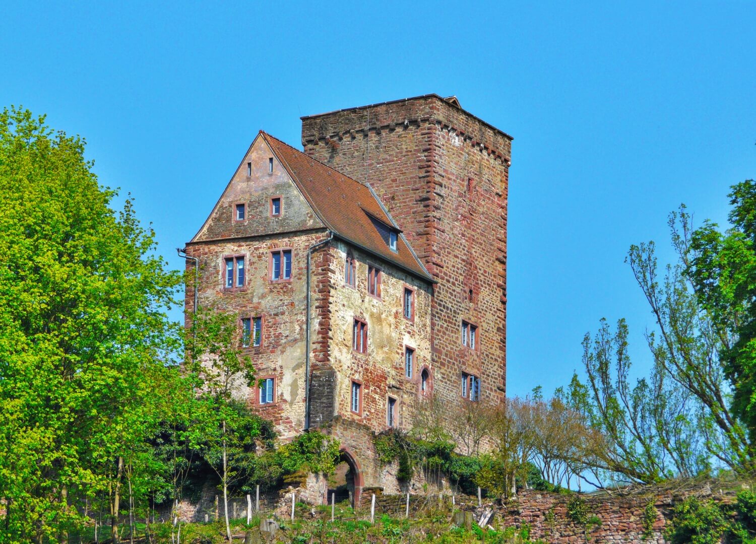 Vorderburg (Neckarsteinach)