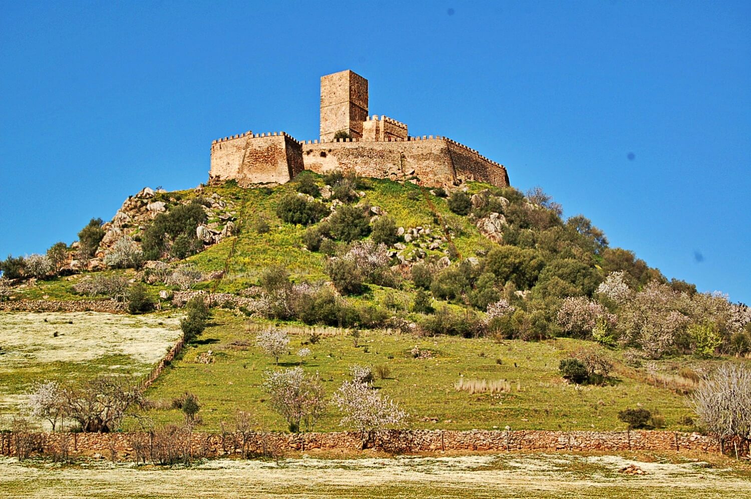 Miraflores Castle