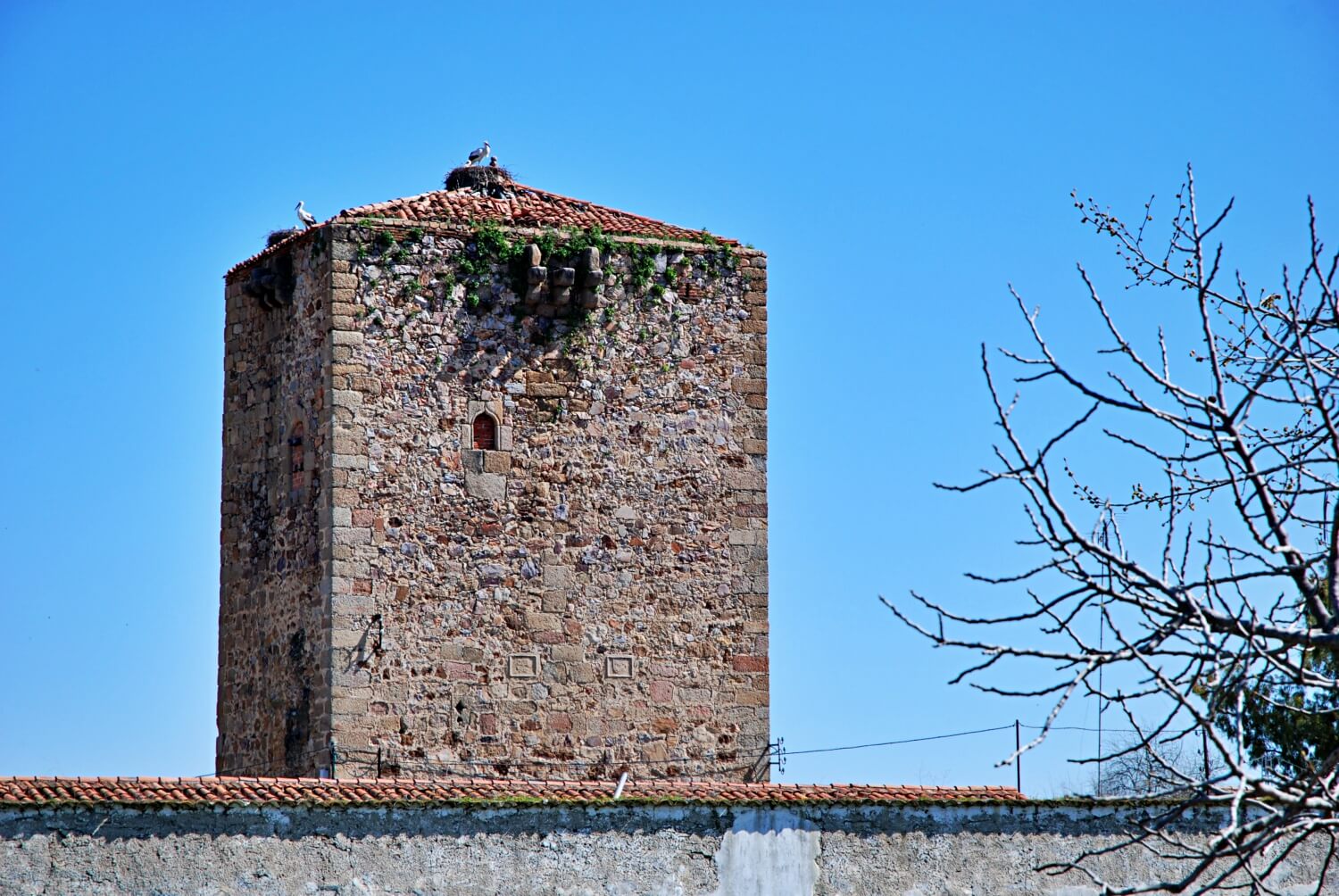 Castle of Almaraz