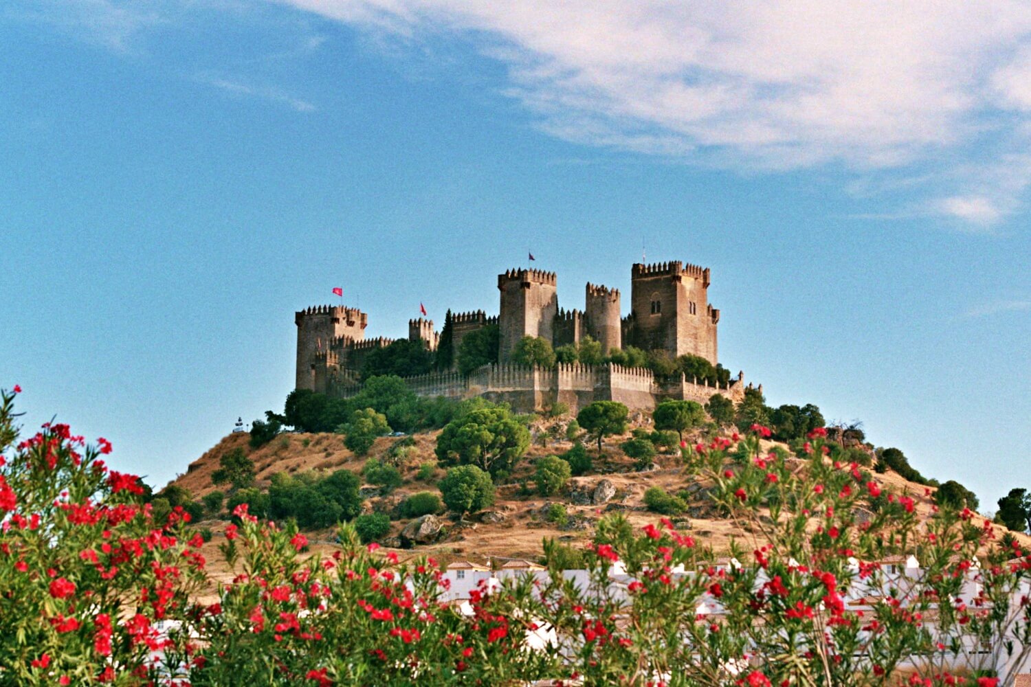 Castle of Almodóvar del Río