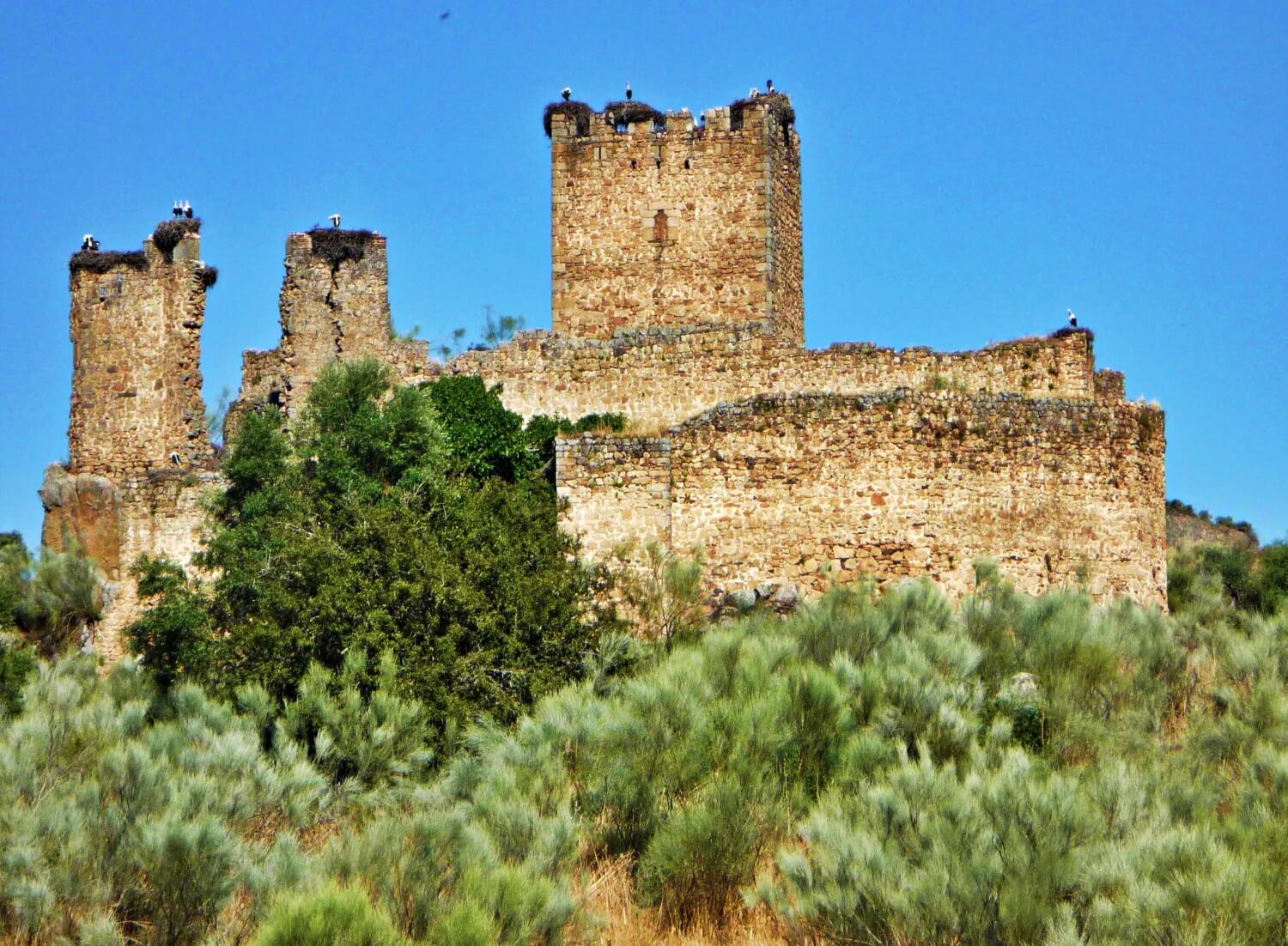 Сastle of Mayoralgo