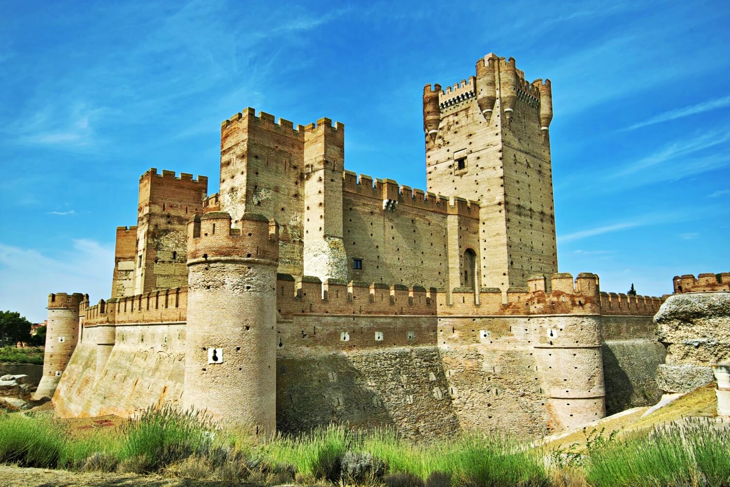 Castle of La Mota