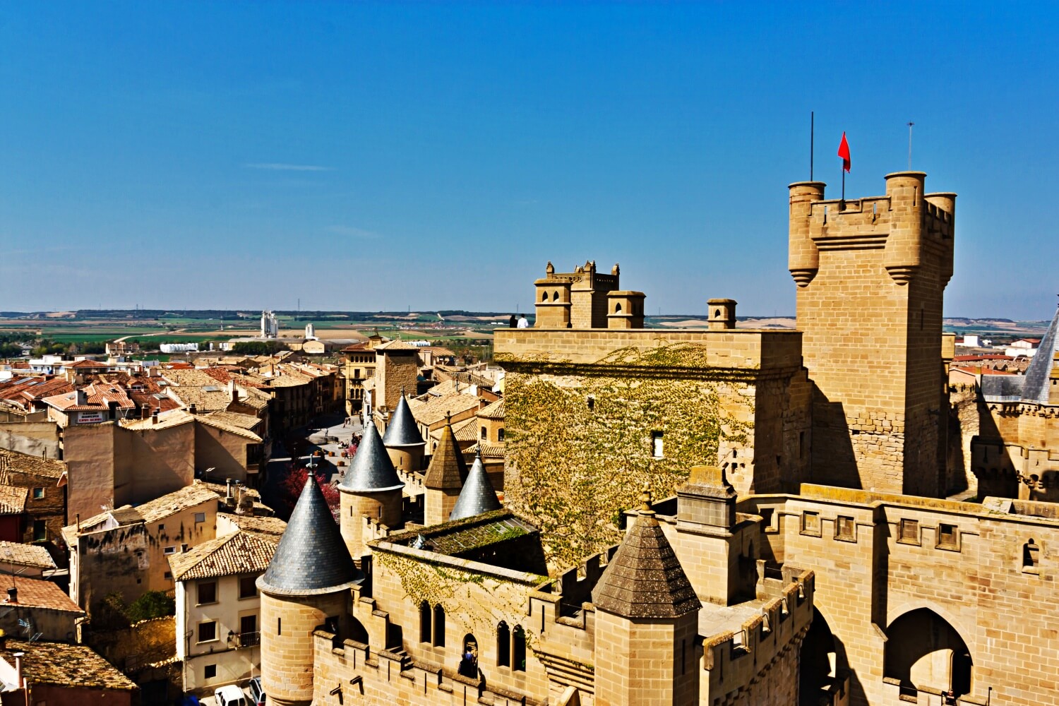 Palace of the Kings of Navarre of Olite