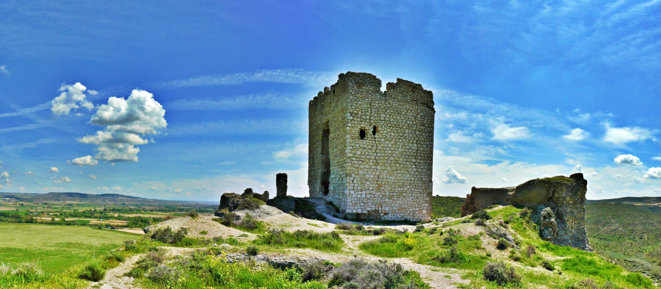 Castle of Oreja