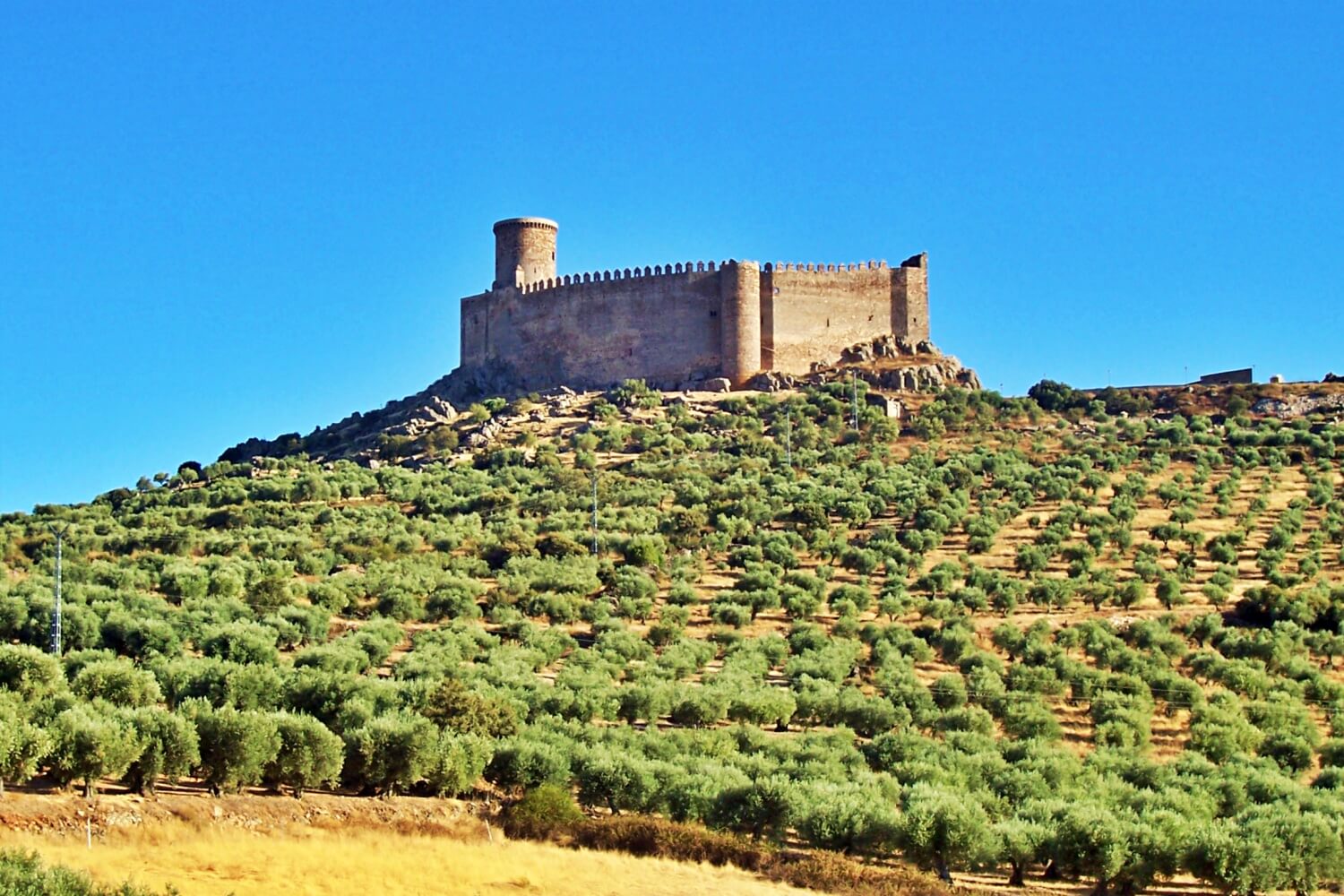 Puebla de Alcocer Castle