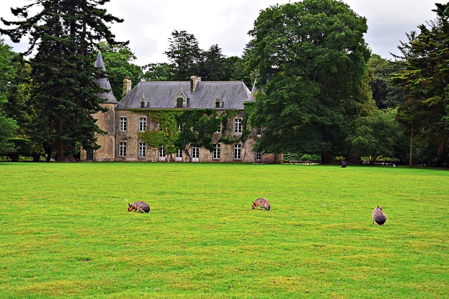 Château de Branféré