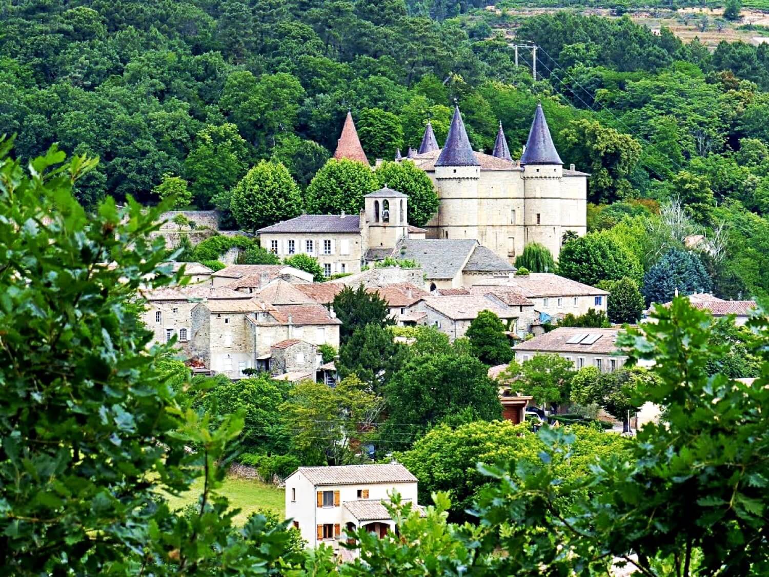 Château de Chambonas