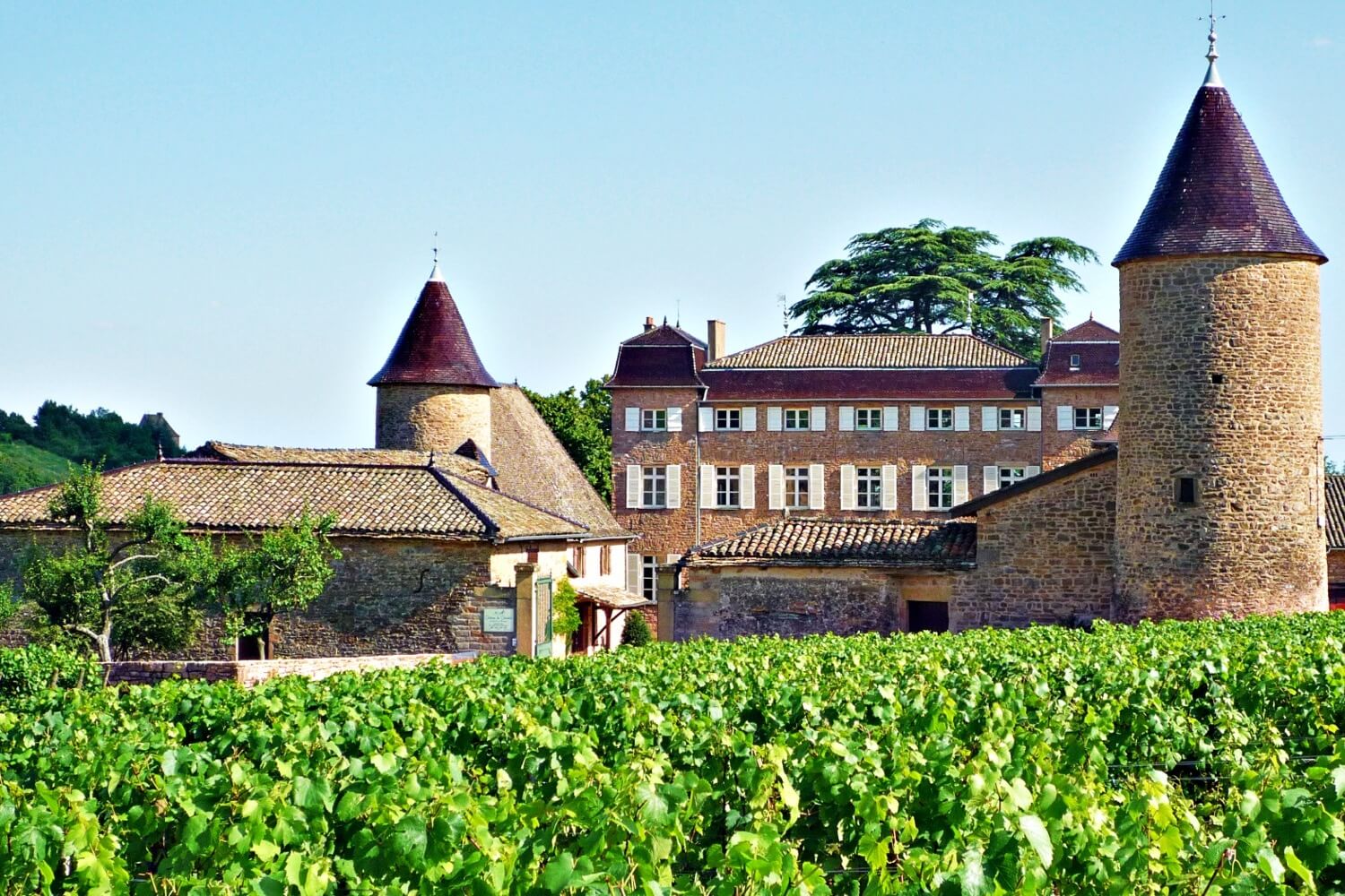 Château de Chasselas