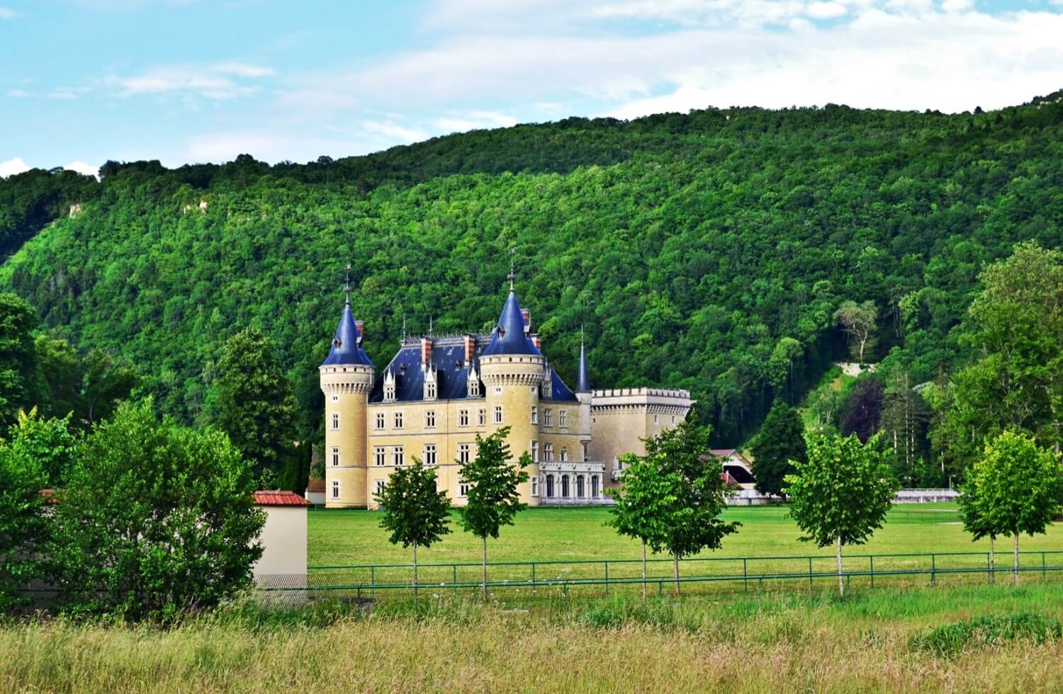 Château de Cornod