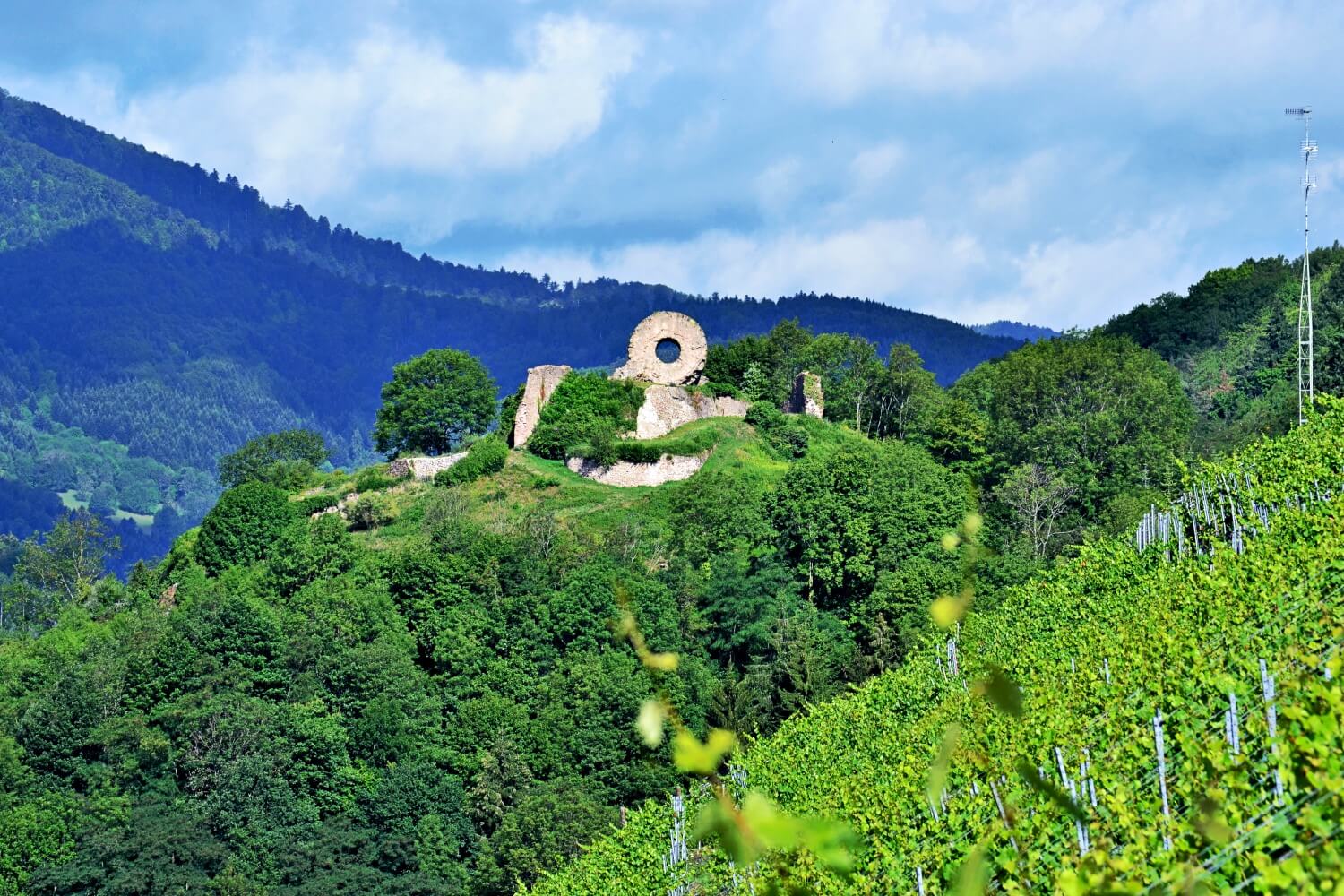 Château d'Engelbourg