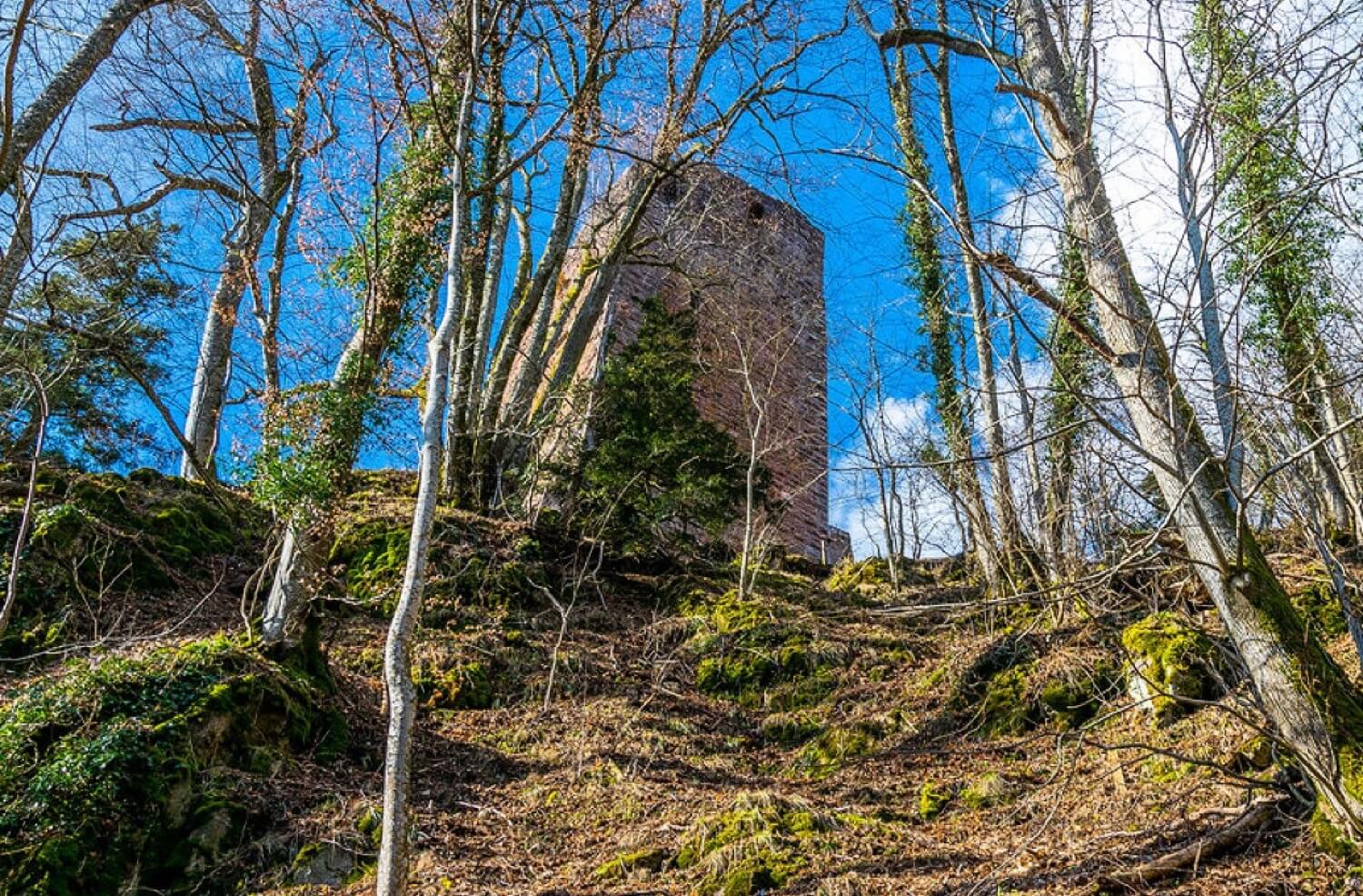 Château du Nideck