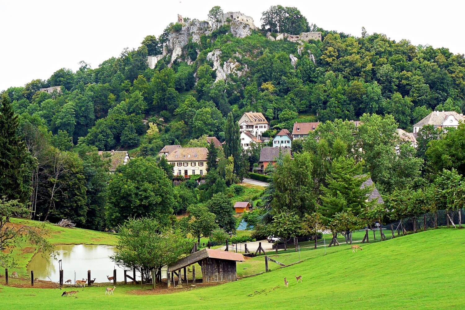 Château de Ferrette