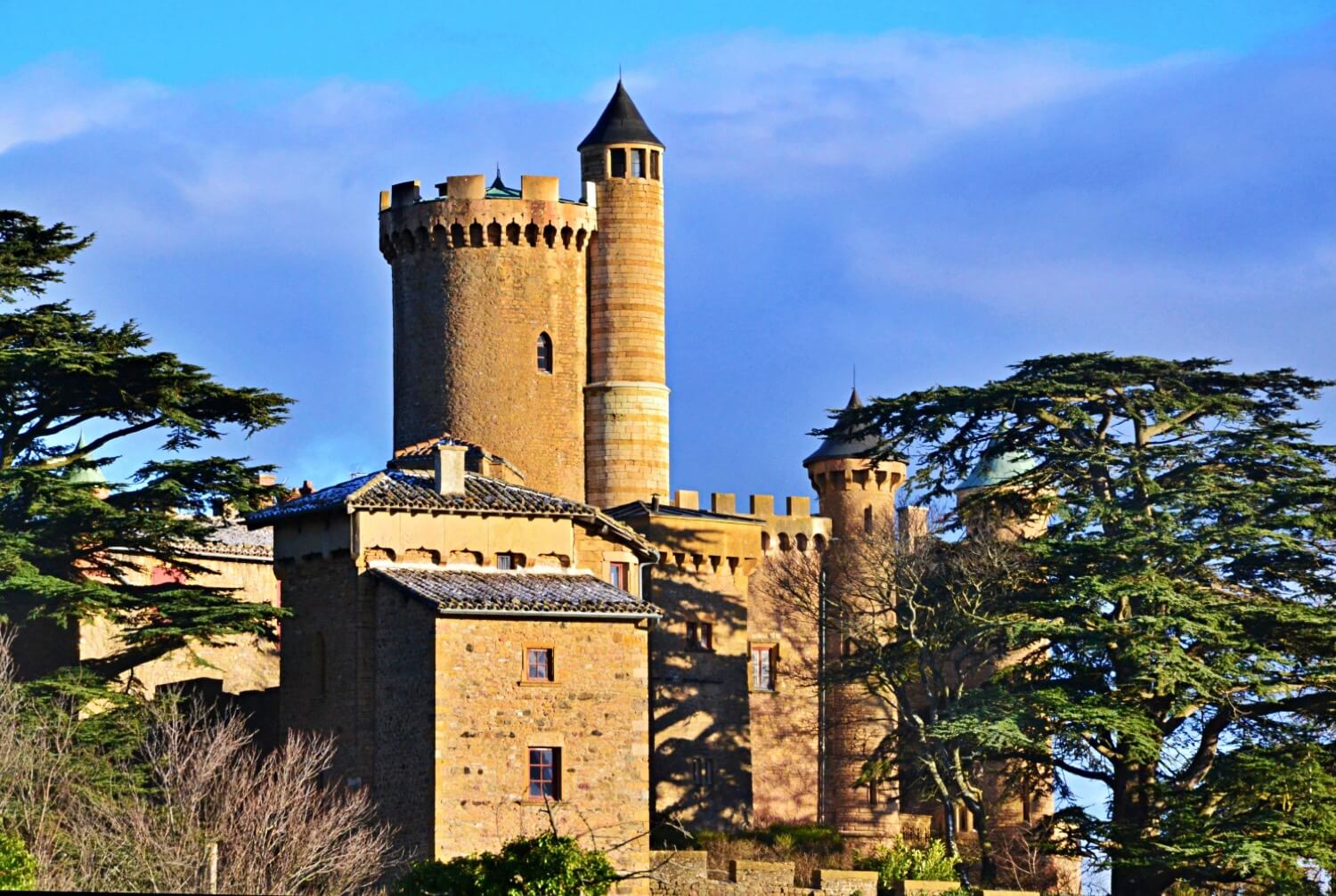 Château de Montmelas