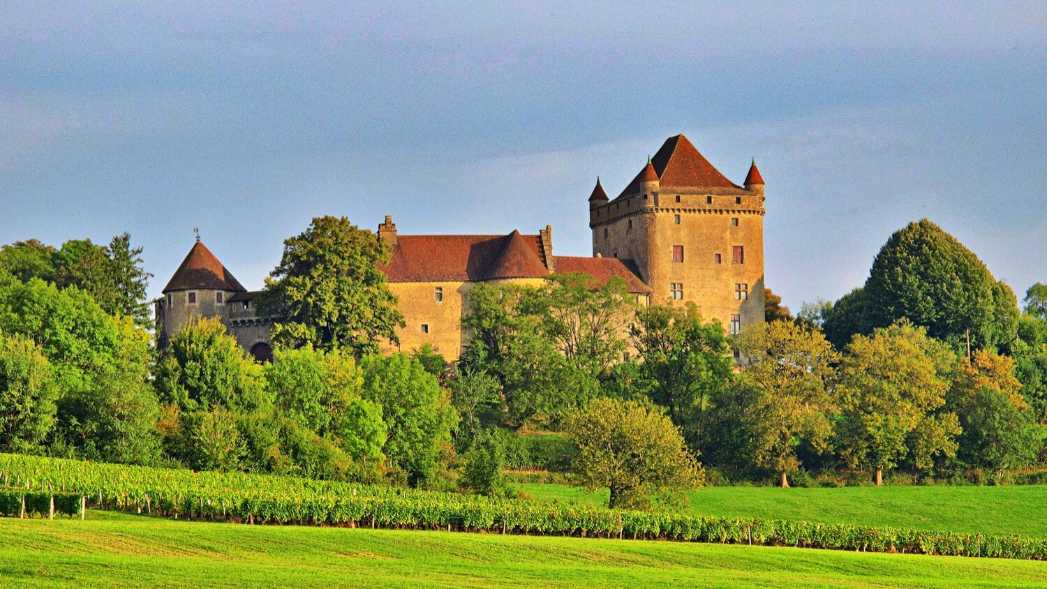 Château de Pin