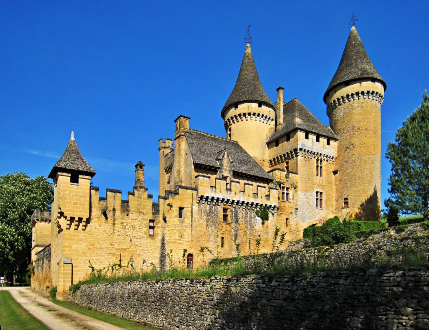 Château de Puymartin