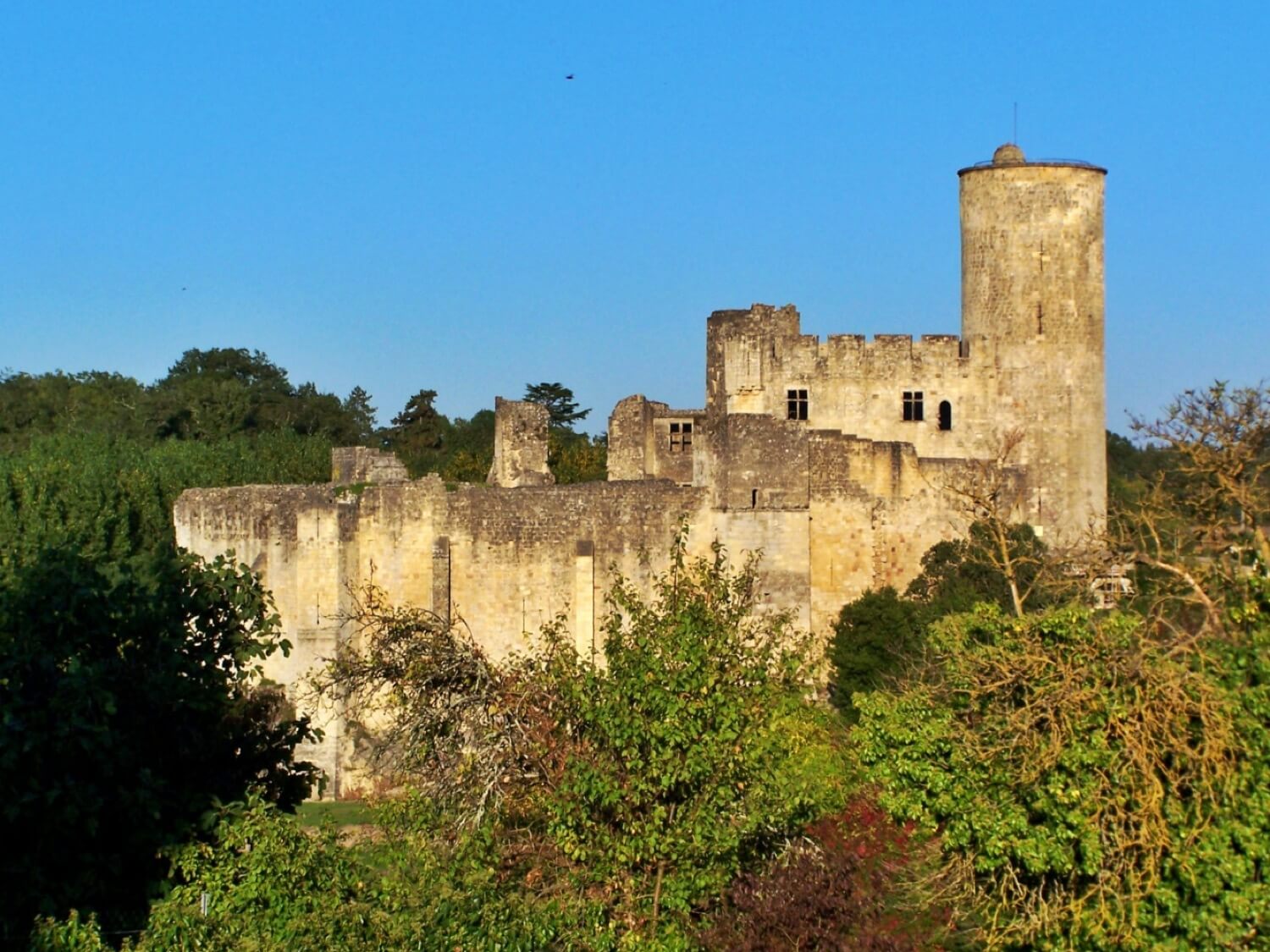 Château de Rauzan