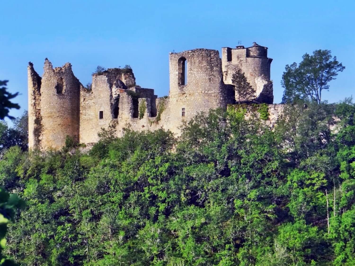 Château de Roussillon (Saint-Pierre-Lafeuille)