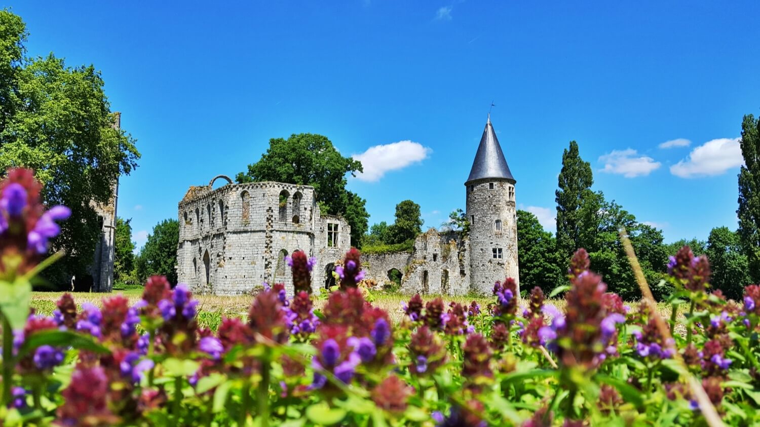 Château royal du Vivier