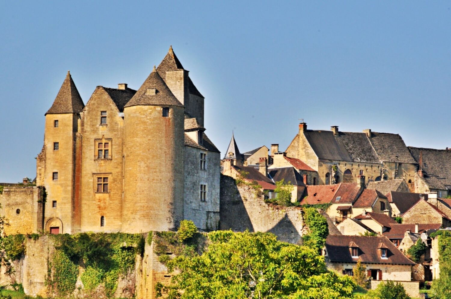 Château de Salignac