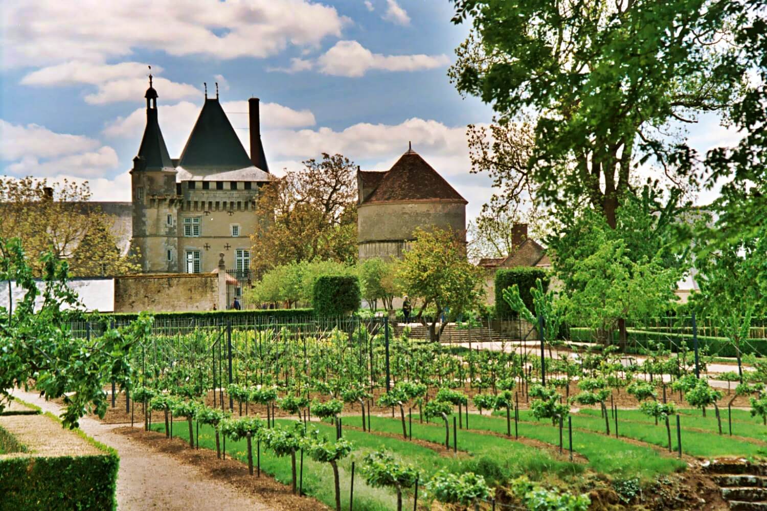 Château de Talcy