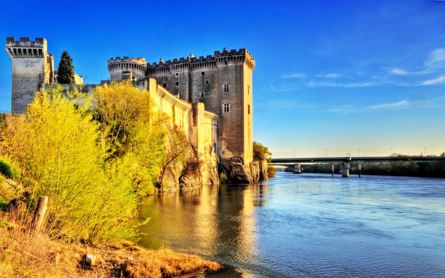 Château de Tarascon