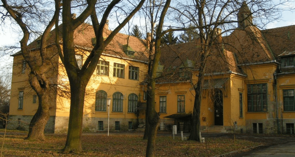 Tisa Castle (Geszt)