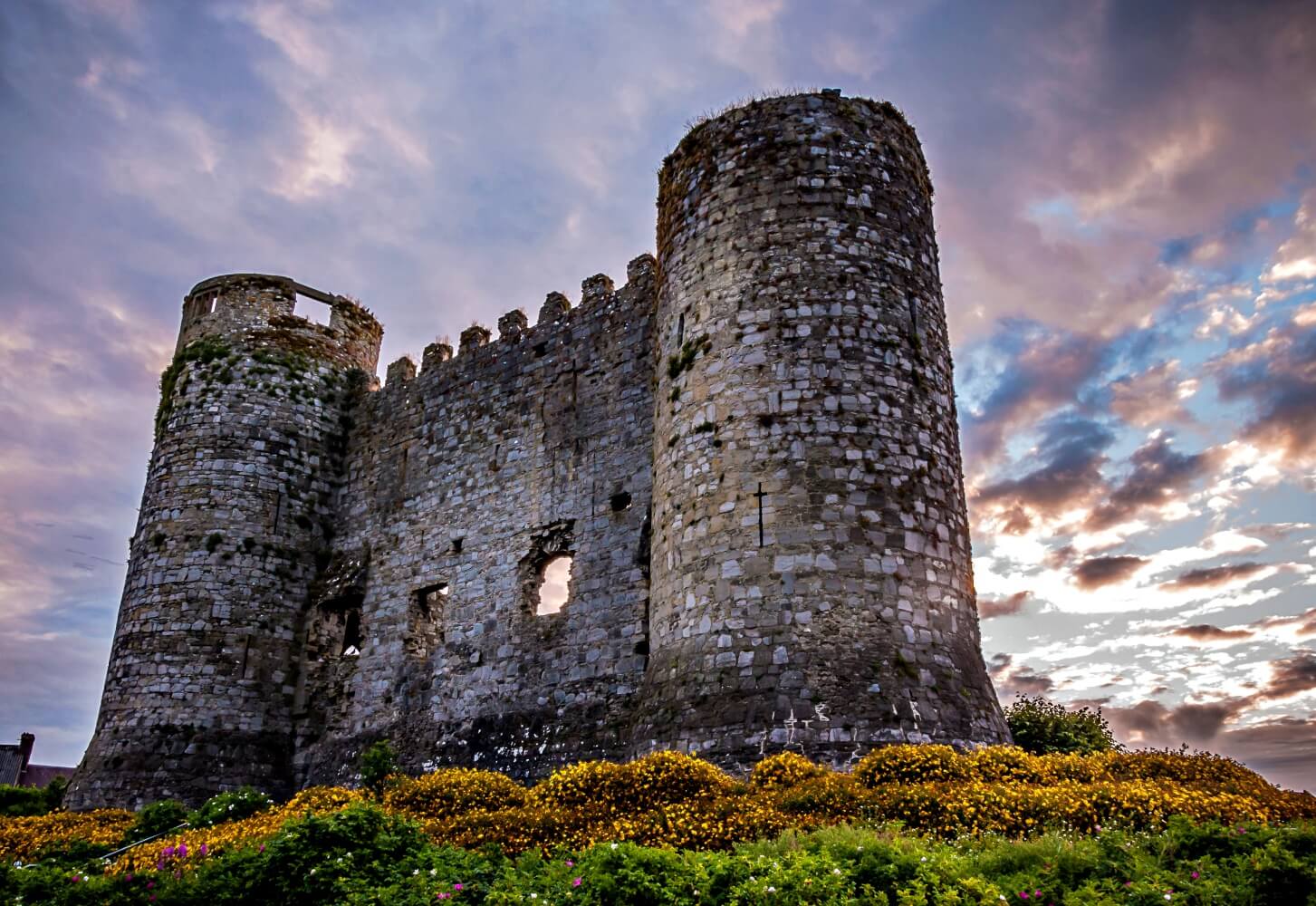 Carlow Castle