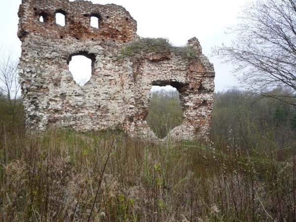 Castle in Bochotnica