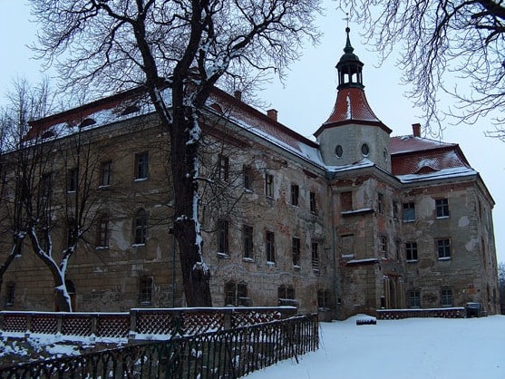Castle Domanicach