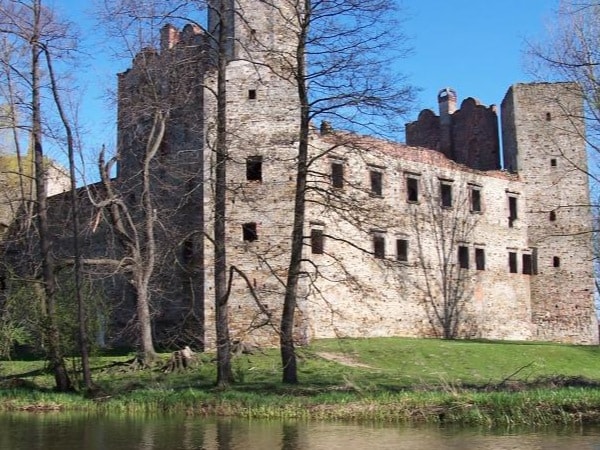 Castle Drzewica