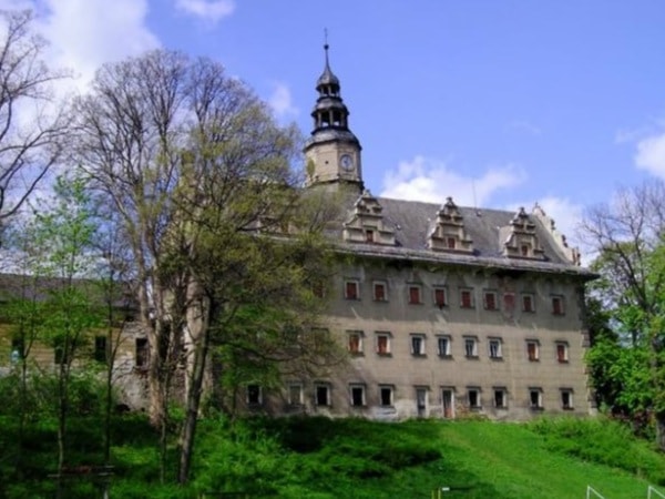 Castle Gorzanowie